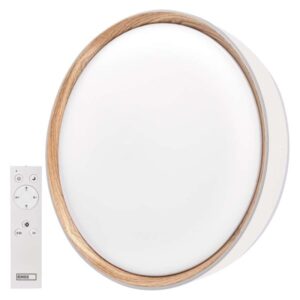 LED přisazené svítidlo ILVI